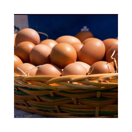 Uova di gallina fresche  Mercato contadino a Milano